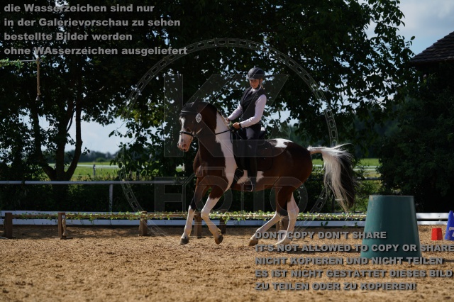s_K3F04838.JPG